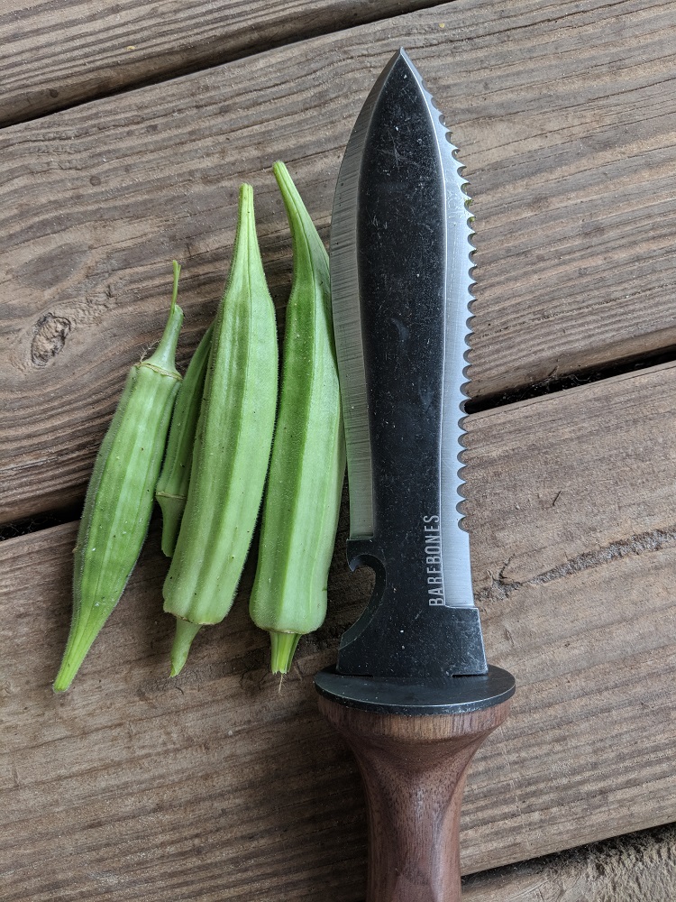 hori hori with freshly cut okra.