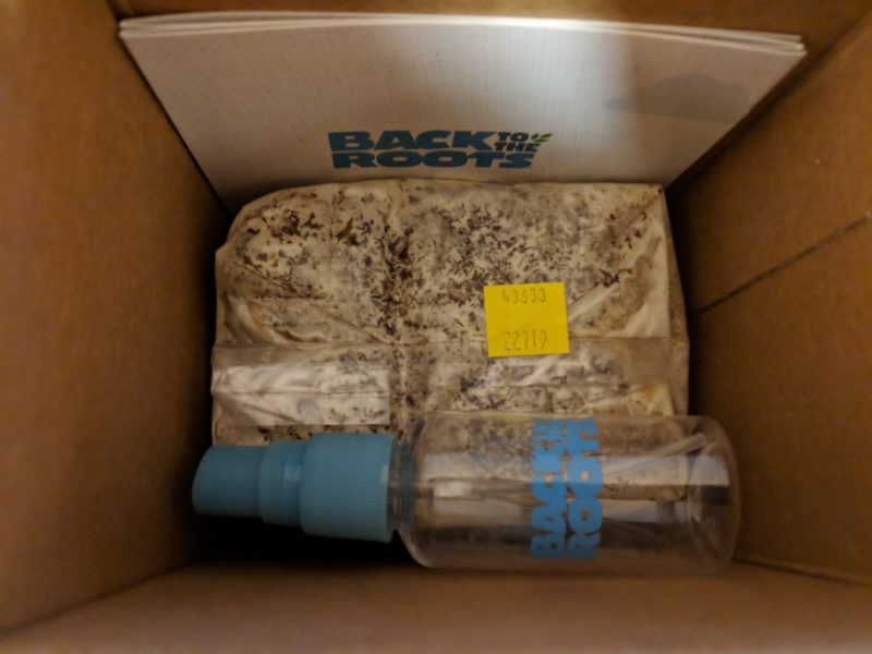 mushroom growing kit included supplies