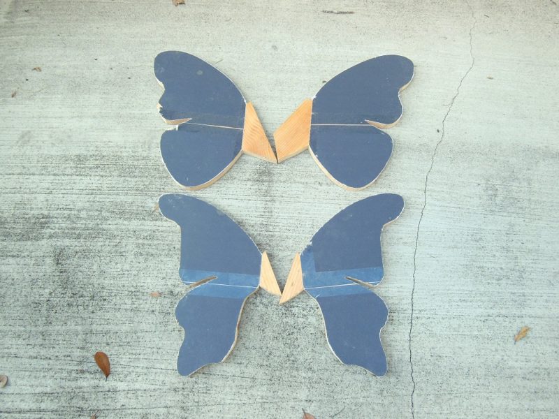 Butterfly wings