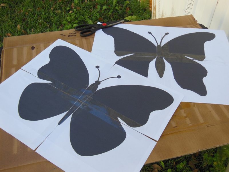 Butterfly patterns