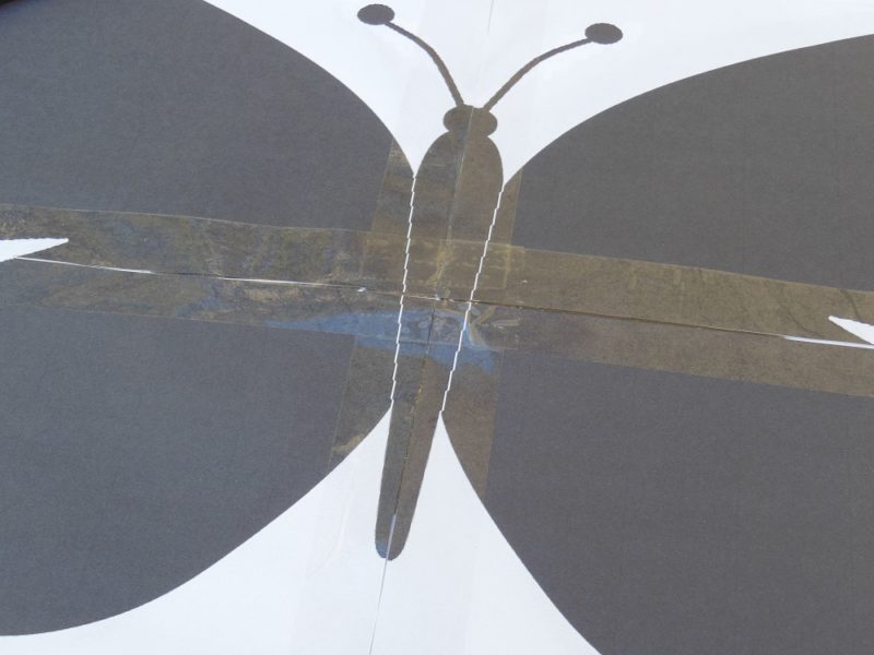Body/wing boundaries