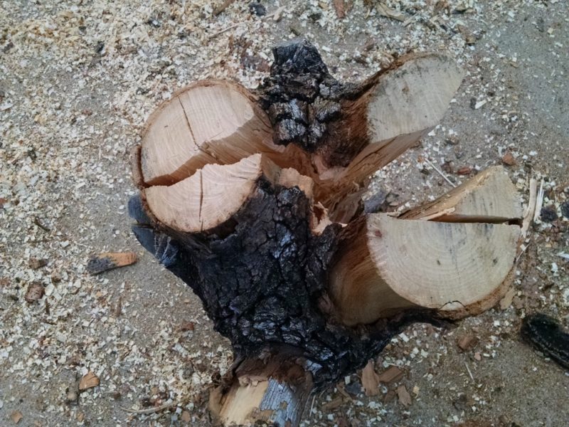 tough log splitting