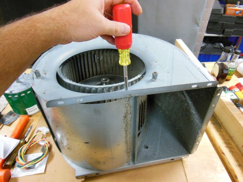 Clean that squirrel cage!