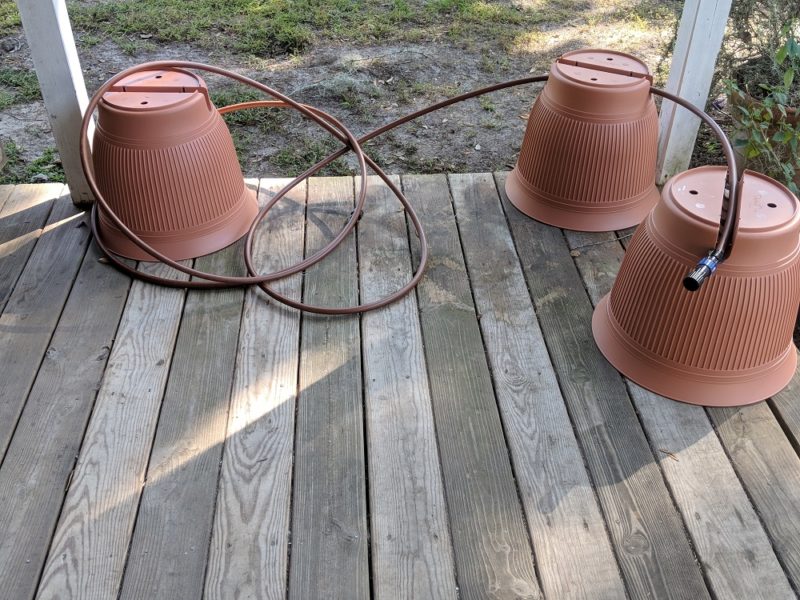 daisy rain garden systems