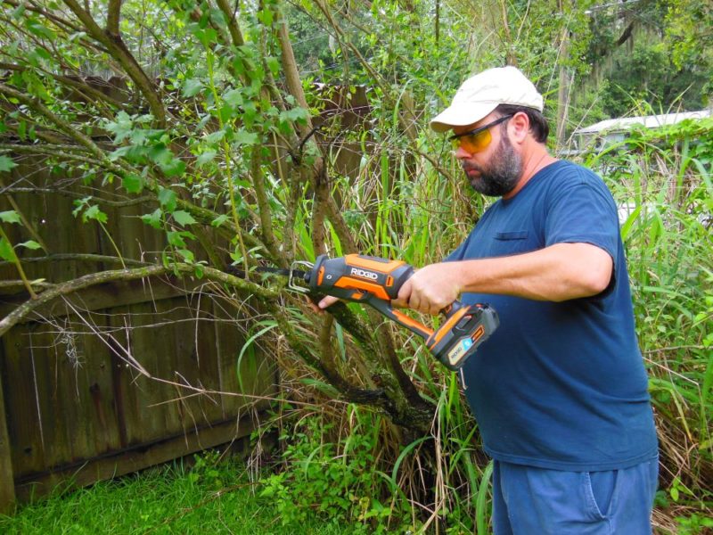 Trimming small branches.