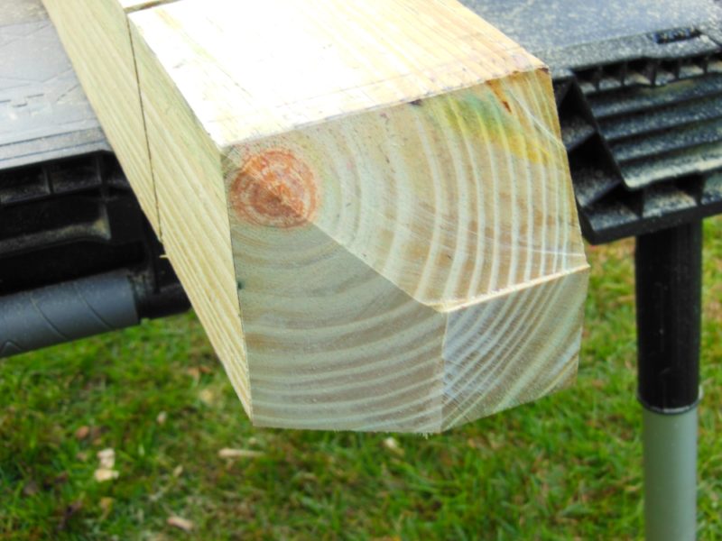 The first two cuts.