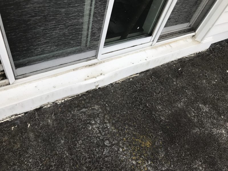 gorilla waterproof patch & seal spray