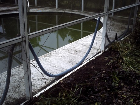 Total Megatron screen panel next a slimy pool at a foreclosed home