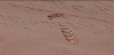 An example of a gouge that reminds me of Wile E. Coyote
