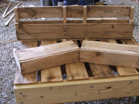Papa Pallet, Mama Pallet, and babies