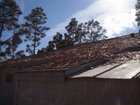 Once the leaves fall, it's time to sweep the roof clean