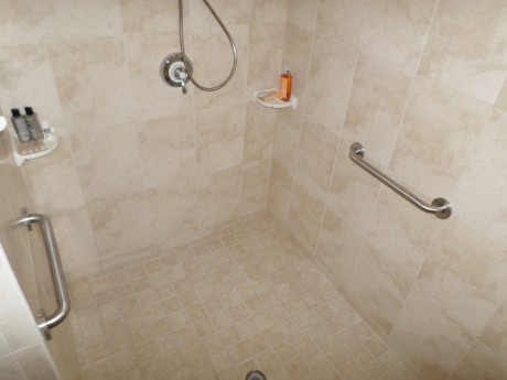 The Shower Grab Bars are Ready for Grabbing