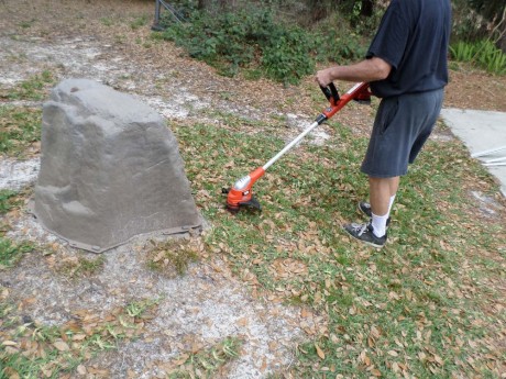 Weed trimmer extraordinaire