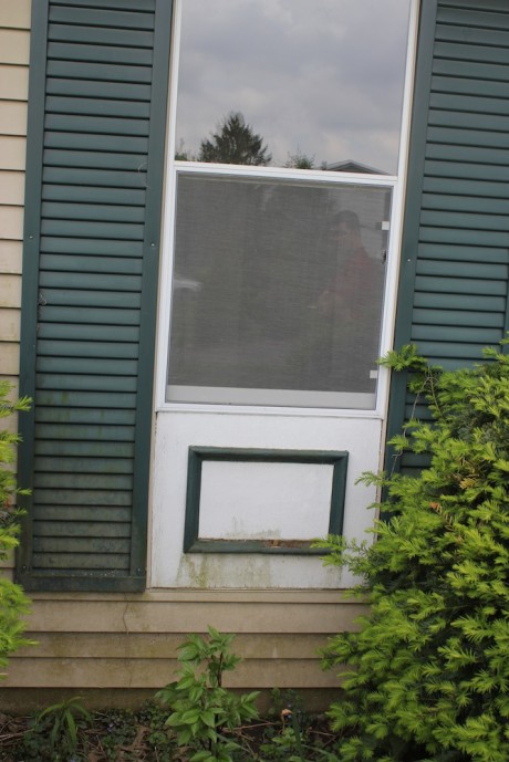 repaint shutters
